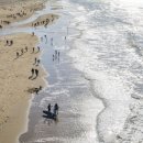 야탑역(공항버스) 이미지