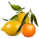 레몬모텔 이미지