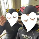 린즈샵 | 제주도 스쿠버다이빙 체험 더퍼플스쿠버다이빙ㅣ가격 리뷰 자격증 대만족후기