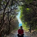 모노클 | 서귀포 제주도 디저트 맛집 블루리본 모노클 솔직후기