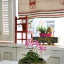 상봉바다마트 이미지