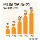 (펌) 마지막 버블. 역전세 대란 성큼 이미지