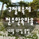 [클릭하세요] 하얀 꽃동산! 이 가을의 서정! 솔숲 구절초 가을여행 ~♬ + 옥정호 + 전주한옥마을 이미지