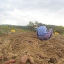 덕암농원 이미지