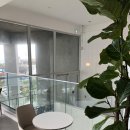 비에노즈 이미지