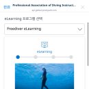 인생프다 티스토리