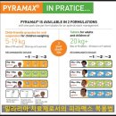 (주) 삼상약품 | 코로나 19 치료제 (피라맥스), 이미 오래 전 나와 있었다?