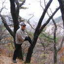 심스그라지 이미지