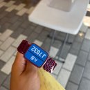 처인 견인차량 보관소 | 캐리비안베이 골드2 시즌 오후권 구매, 할인, 주차, 락카, 웨이팅 내돈내산 후기