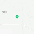 덕화농장 | 블루베리체험 덕화체리농원 강원도 블루베리체험농장 예약방법 위치 후기