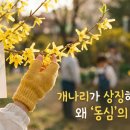 맑은동심유치원 이미지