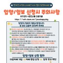 (믹키) 아기때 들어와 10년넘게 보호소에서 지내는 비글 남아의 가족을 찾아요~ 이미지