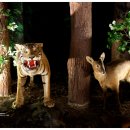 강원도립화목원 이미지