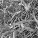 덕산농장 이미지