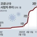 대한민국 코로나 사망자 현황 이미지