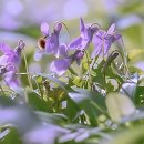 웰컴치과의원 | 드디어 고민 끝! 치아 땜에 맘고생 심했는데 솔직 후기 풀어요