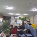 하빈남로 이미지