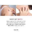 우보수원
