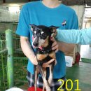 간석지구대 이미지