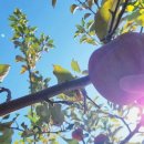 진옥농장 이미지