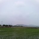 죽암리고분 이미지