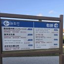 대해로 3 | 여행/츄라우미 수족관 주차, 입장료, 고래상어 먹이타임, 돌고래 공연 정보, 한국어 팜플렛/오픈런 후기