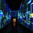 조각공원로 이미지