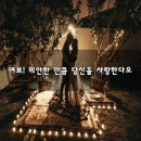 여보여보야