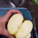 산들강농장 | 순박한농부들 파지사과 아삭아삭해!