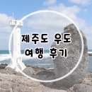 우도 당일치기 여행 코스 스쿠터,전기차타고 하하호호 수제버거, 망고주스, 땅콩 아이스크림 먹방 후기