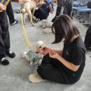 금산고등학교 이미지