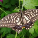 아이잼어린이집 이미지