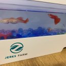 (주)제레스 이미지