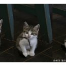 빈이농장 이미지