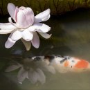 우아미(美)