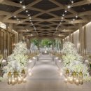 파티오-25 이미지