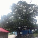 사곡리경로당 이미지