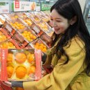 롯데마트 이미지