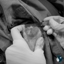 철원동물병원 이미지