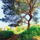 문학도시자연공원 이미지