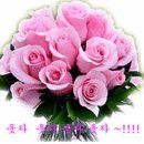 무작정 - 속초시 | 무작정