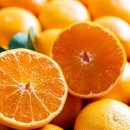 김성호내과의원 이미지