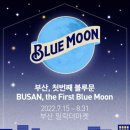 블루인터내셔널