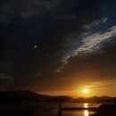 서호농산 이미지