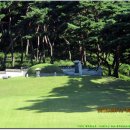 충무공초등학교 이미지