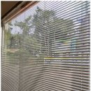 목포부설초등학교정문 이미지