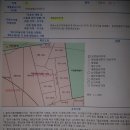 파주대박공인중개사사무소 이미지