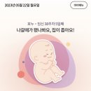 디데이트립