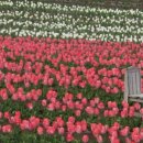 표선동서로 이미지