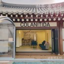 콜라니티다 이미지